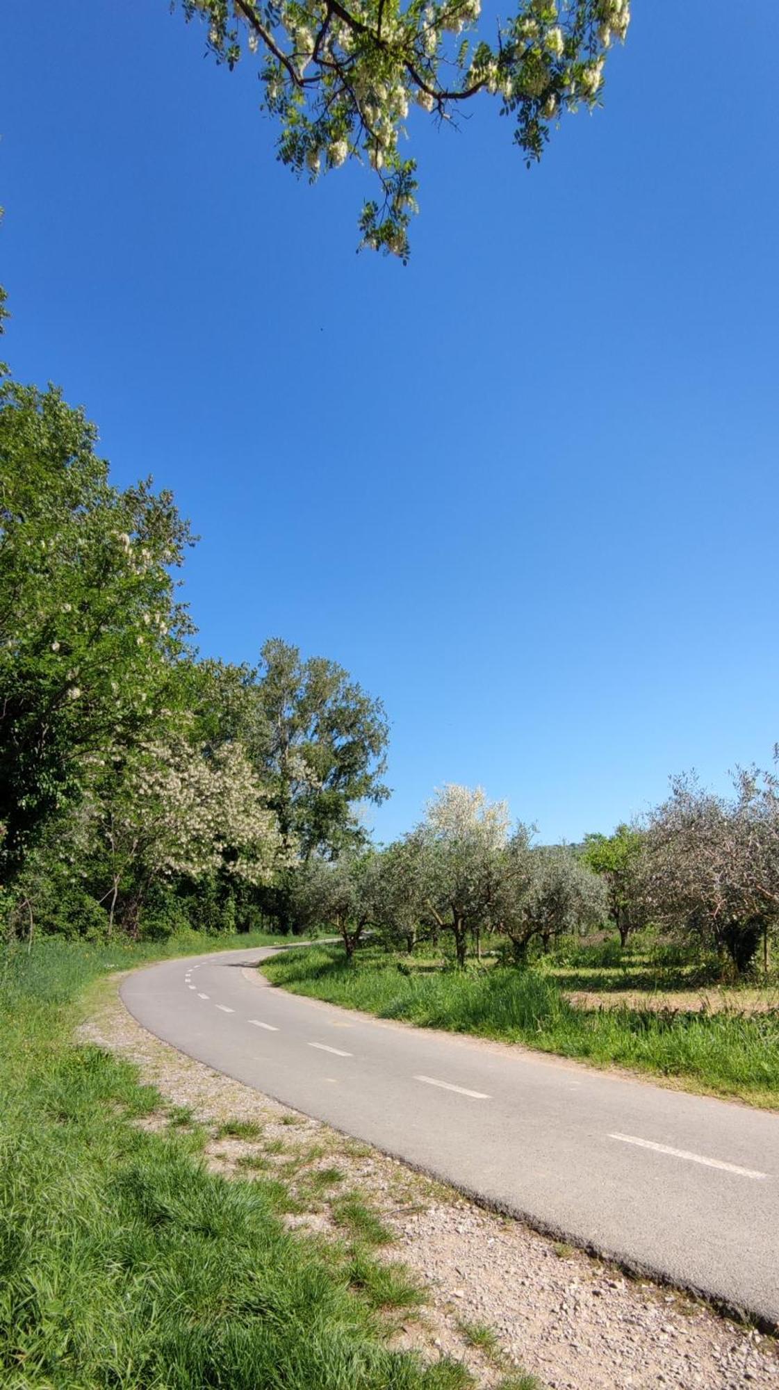 דקאני Bordon Wines, Estate With Accommodation מראה חיצוני תמונה