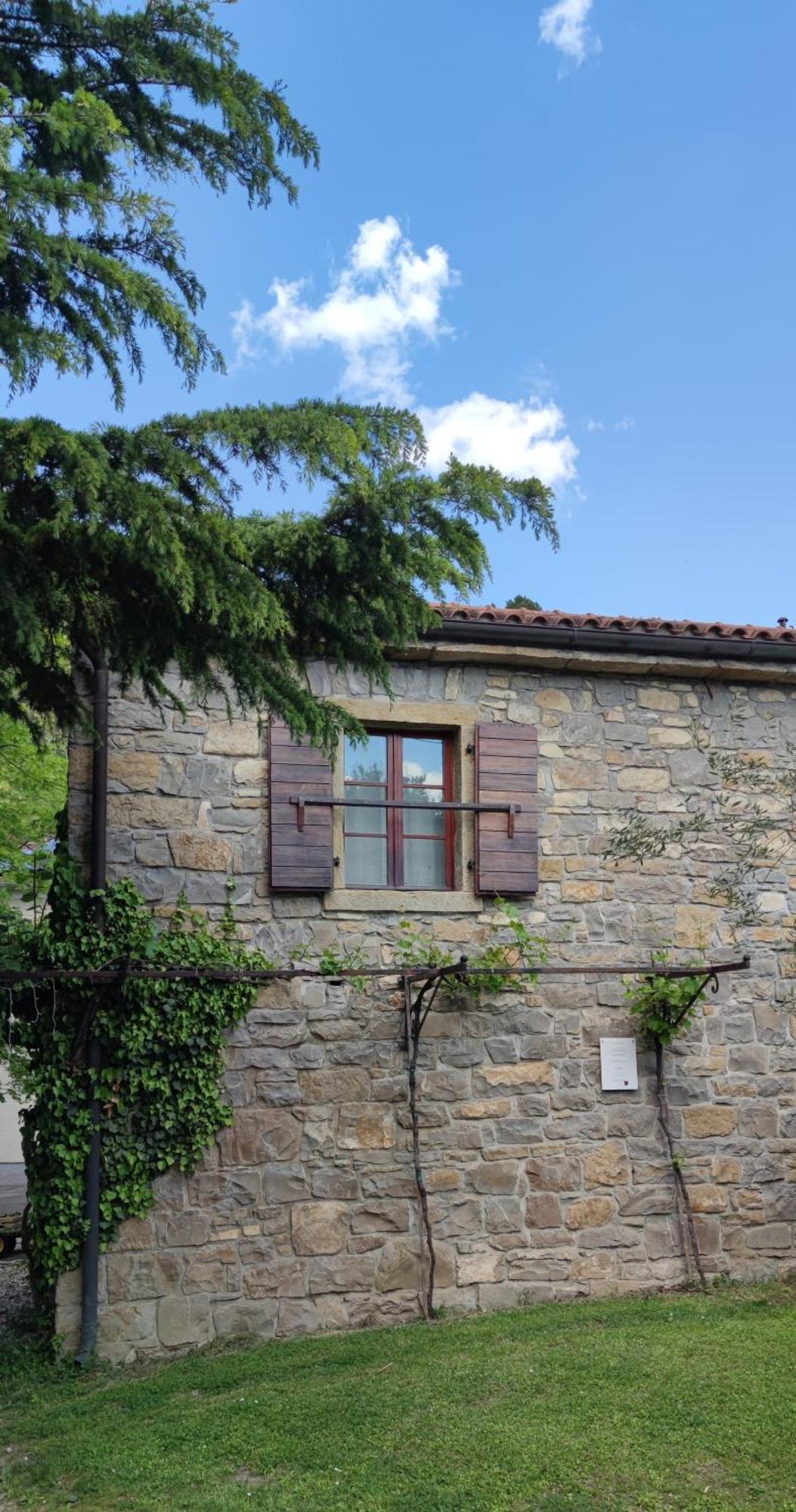 דקאני Bordon Wines, Estate With Accommodation מראה חיצוני תמונה